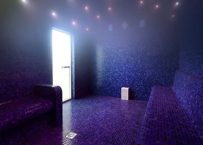 酒店 马卡利斯套房酒店及spa